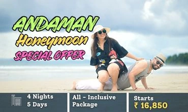 Honeymoon Offer